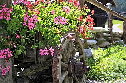 Pension Fürhapter - Urlaub - Bauernhof - Defereggental - Osttirol